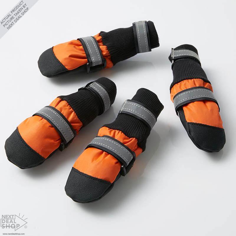 Stivali per Animali Domestici